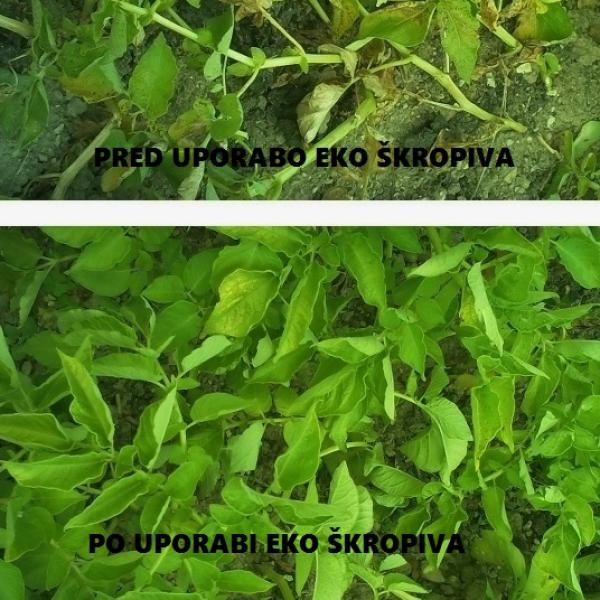 Inkino ekološko škropivo za vrt