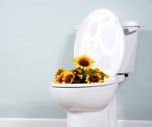 Dezinfekcijsko čistilo za WC školjko