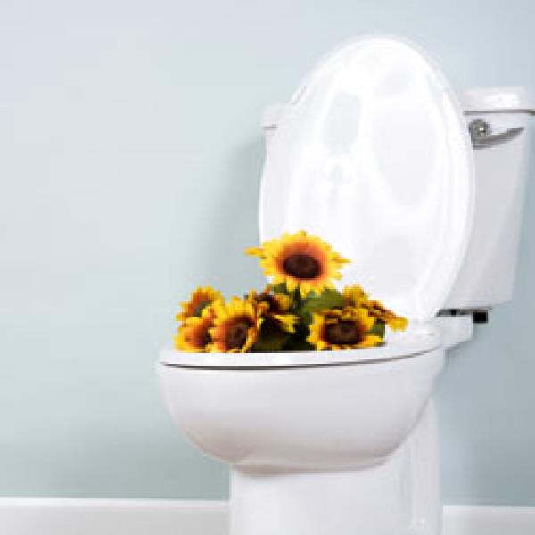 Dezinfekcijsko čistilo za WC školjko