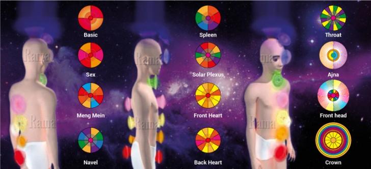 Pranic Healing® v sodelovanju s Tovarno Organika