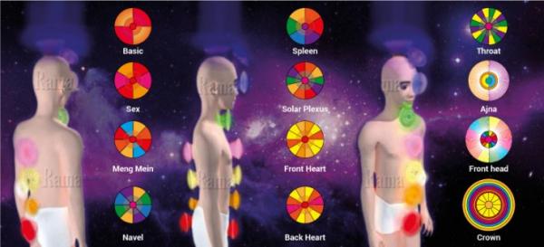 Pranic Healing® v sodelovanju s Tovarno Organika