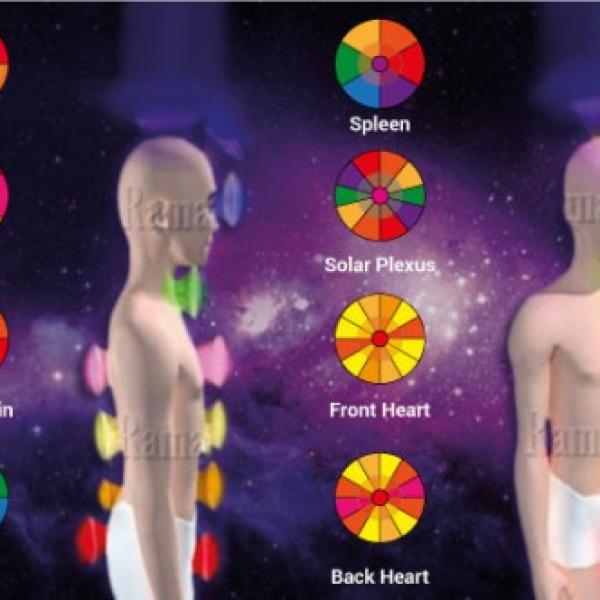 Pranic Healing® v sodelovanju s Tovarno Organika