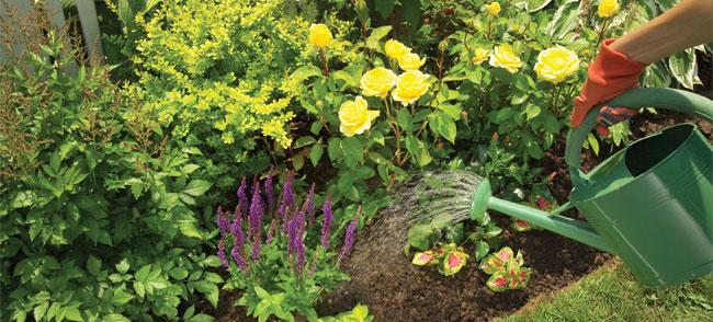 Inkino ekološko škropivo za vrt