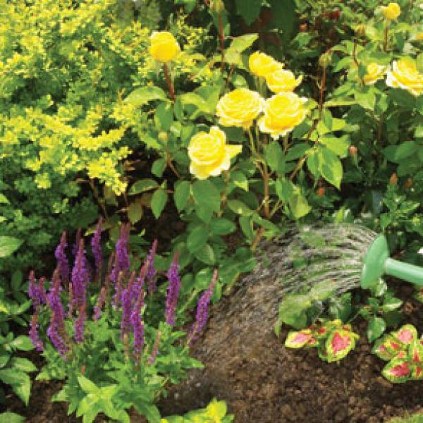 Inkino ekološko škropivo za vrt