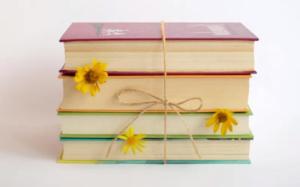 LITERATURA