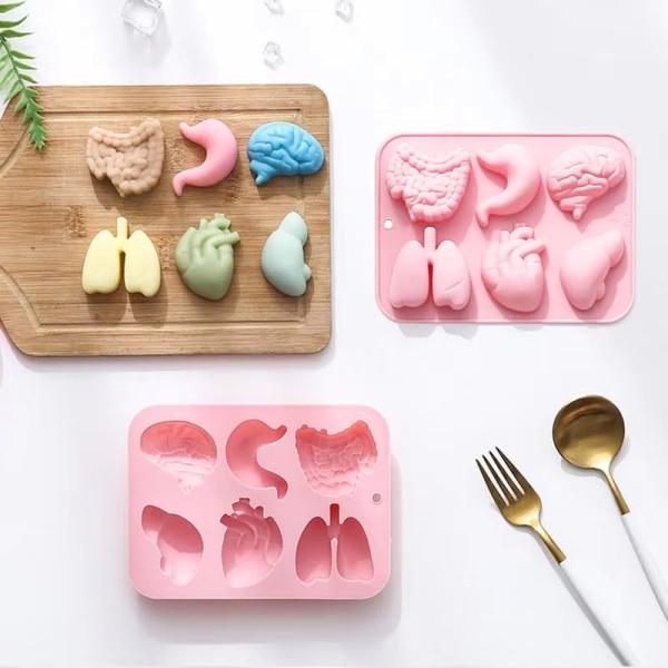 Človeški organi - silikonski kalup