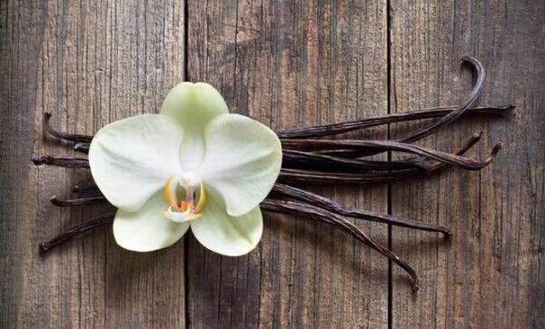Vanilla (vanilja) aroma za balzame za ustnice