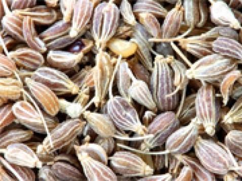 Janež, sladki eterično olje