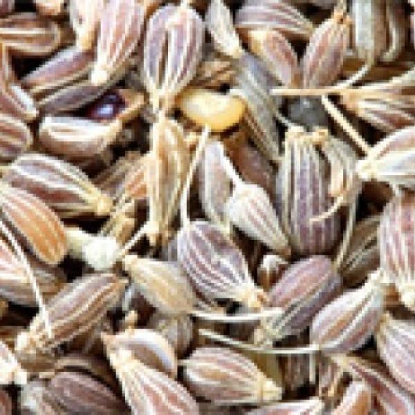 Janež, sladki eterično olje