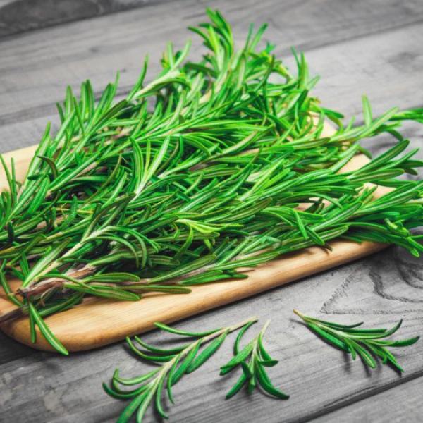 Rožmarin eterično olje