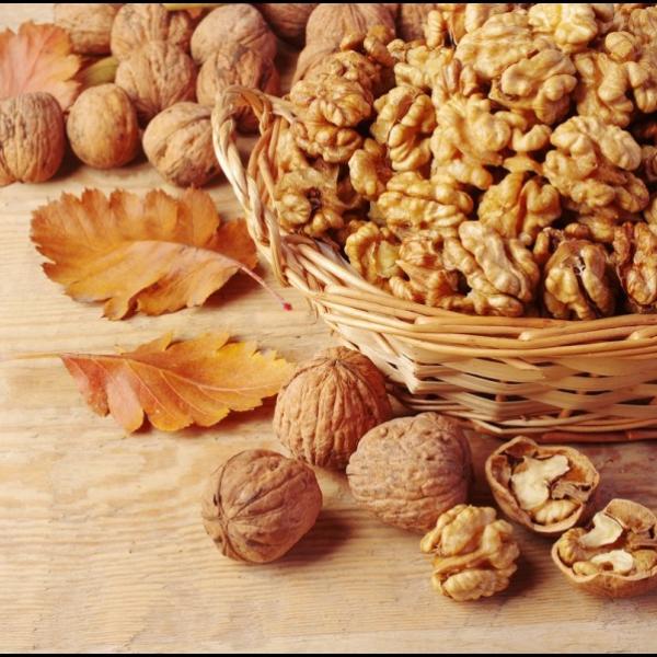 Orehovo olje BIO - hladno stiskano