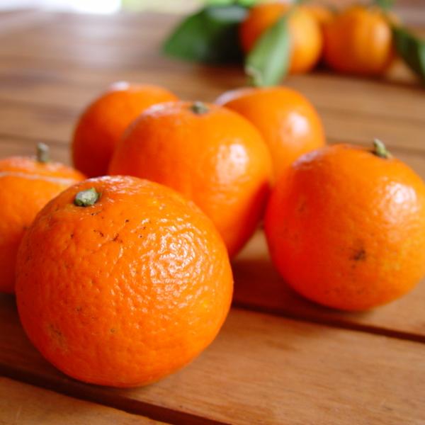 Tangerine (mandarina) dišava