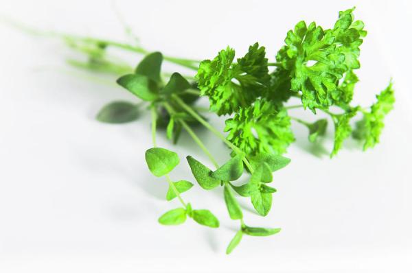 Parsley & Thyme naravna dišava