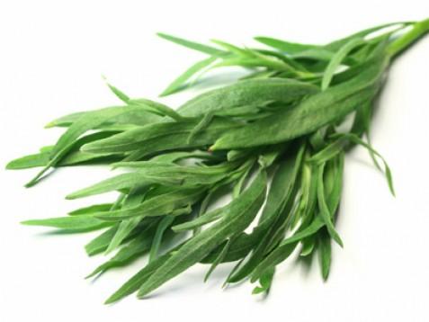 Pehtran eterično olje