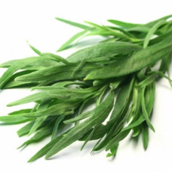 Pehtran eterično olje