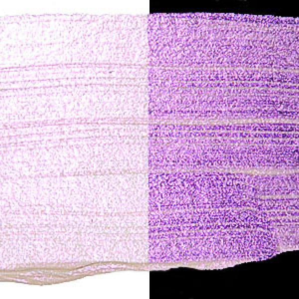 Interference Purple pigment