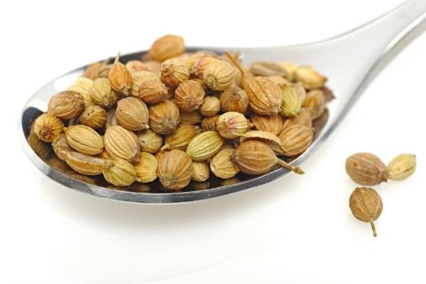 Koriander eterično olje