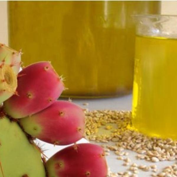Olje semen kaktusa Opuncija (Prickly Pear)