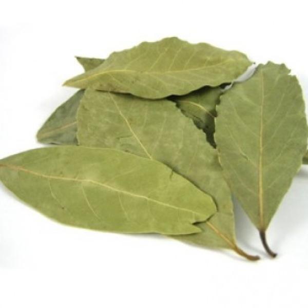 Lovor - listi eterično olje