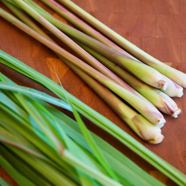 Limonina trava - organsko eterično olje