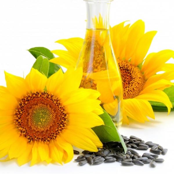 Sončnično olje rafinirano (hi linoleic) - BIO
