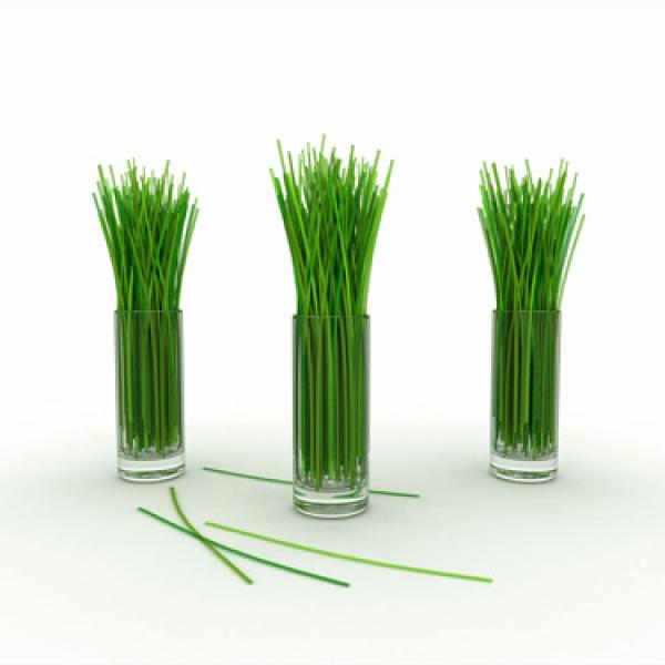 Limonina trava eterično olje