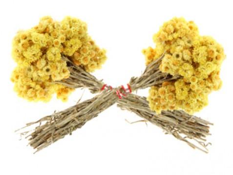 Laški smilj (suhocvetnica) eterično olje