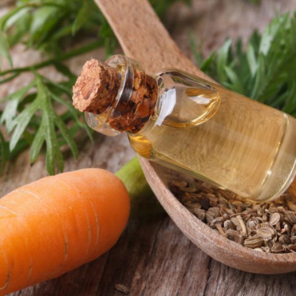 Olje korenčkovih semen