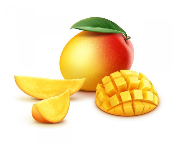 Mangovo maslo BIO