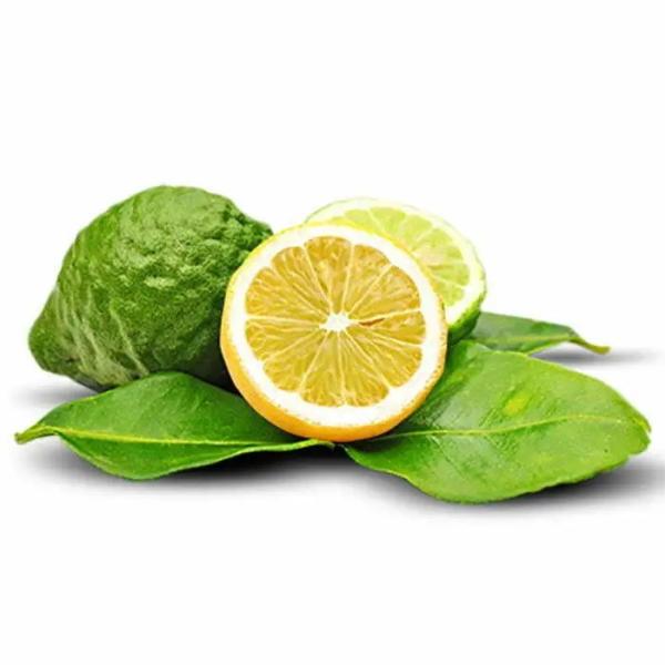 Bergamotka (brez bergaptena) - BIO eterično olje