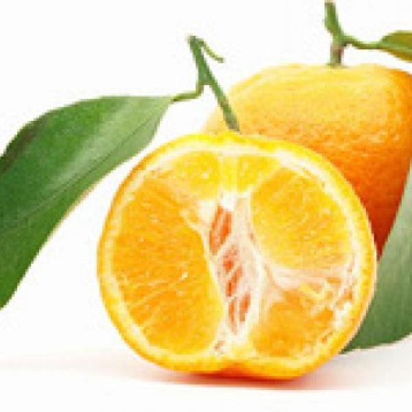 Petitgrain eterično olje