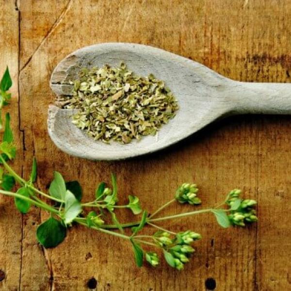 Origano, divji eterično olje