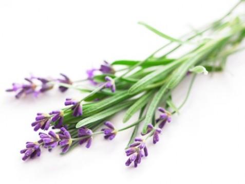 Lavender (sivka) dišava