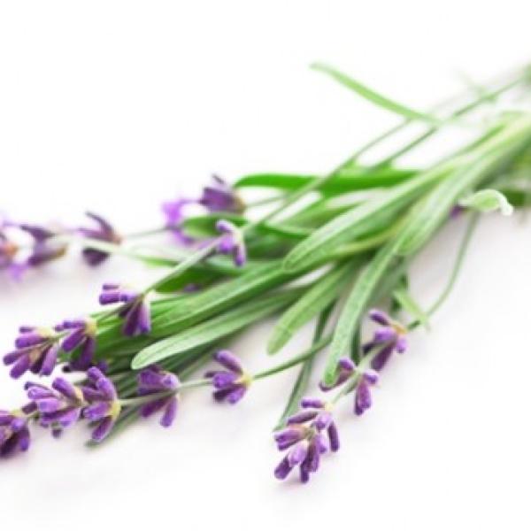 Lavender (sivka) dišava
