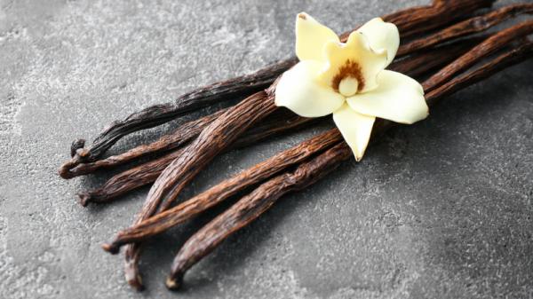 Vanilla - dišava