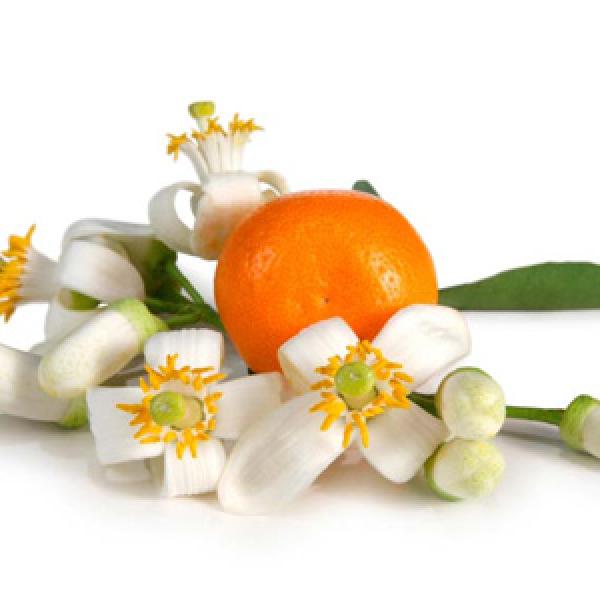 Hidrolat pomarančnih cvetov (Neroli) - BIO