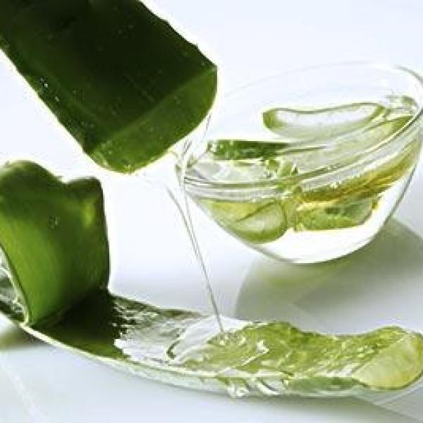 Aloe vera v prahu (200:1) BIO