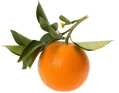 Petitgrain eterično olje