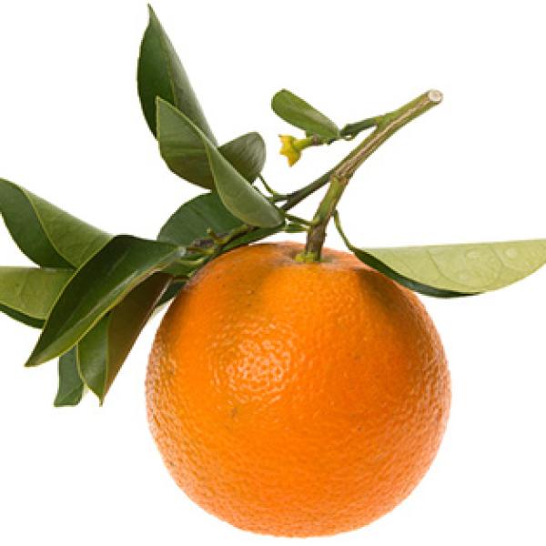 Petitgrain eterično olje