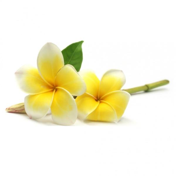 Frangipani (plumerija) dišava