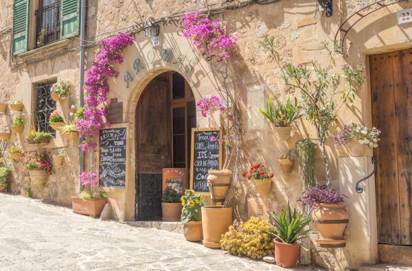 Mediterraneo dišava