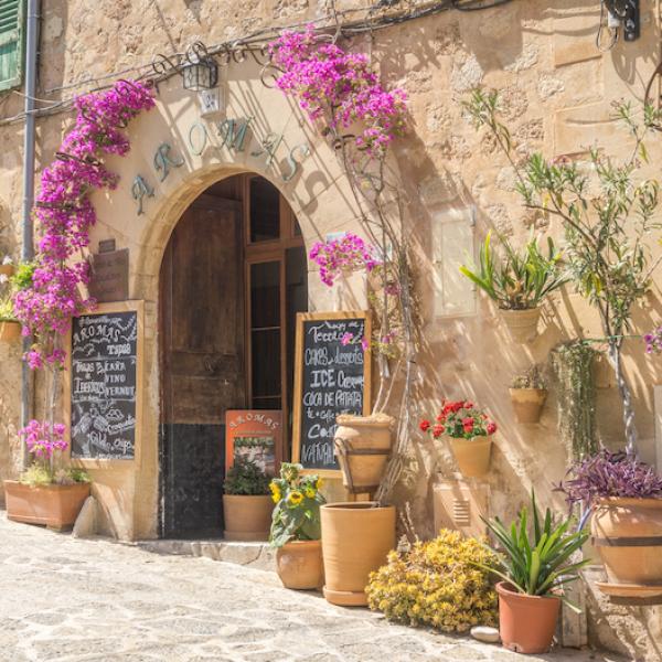 Mediterraneo dišava