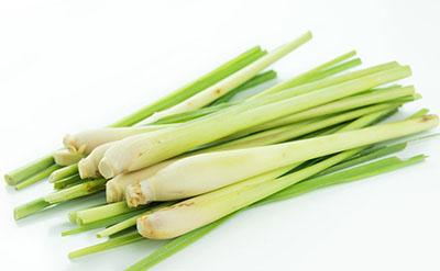 Citronela - BIO eterično olje