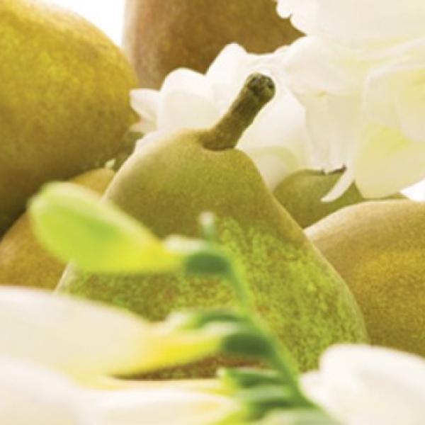 Freesia & Pear (frezija, hruška) dišava