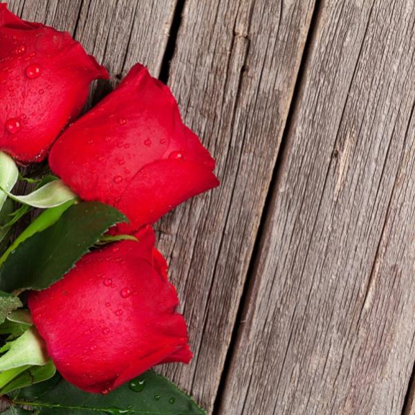 Rose (vrtnica) dišava