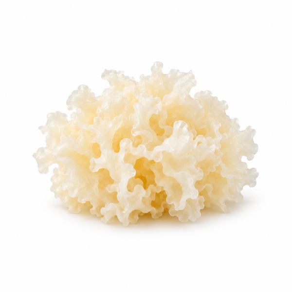 Tremella – Snow Mushroom Extract