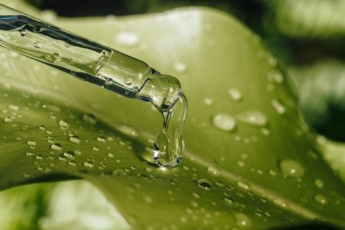 Leucidal® Liquid SF