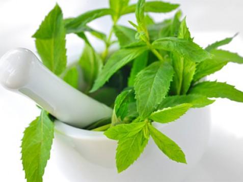 Poprova meta BIO eterično olje