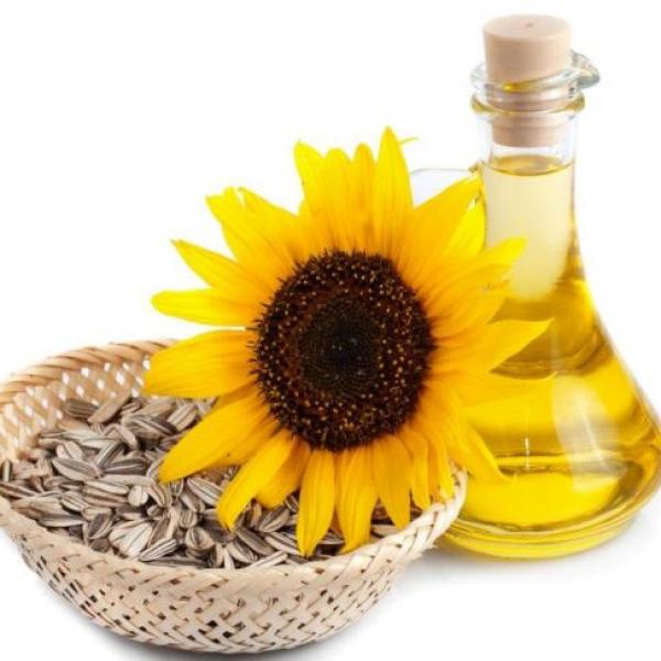 Sončnično olje