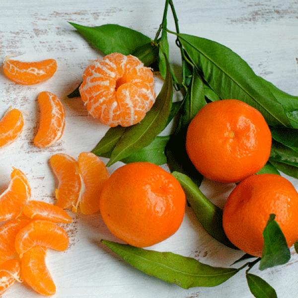 Mandarina eterično olje